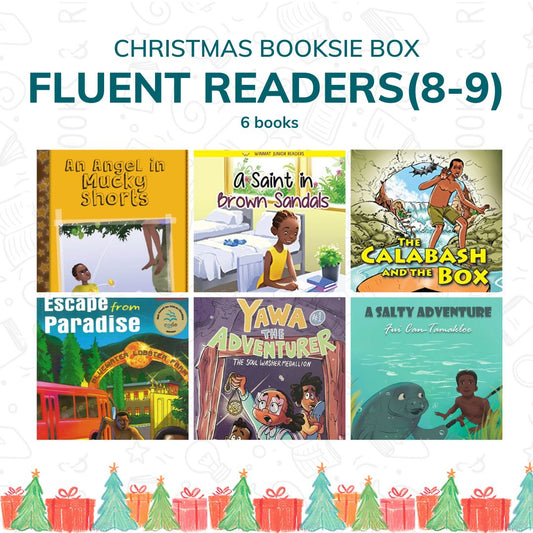 Fluent Readers Booksie Box