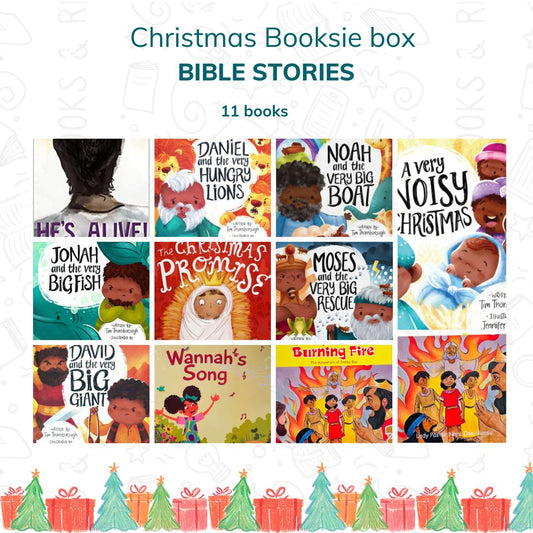 Special Collection Books: Bible Stories