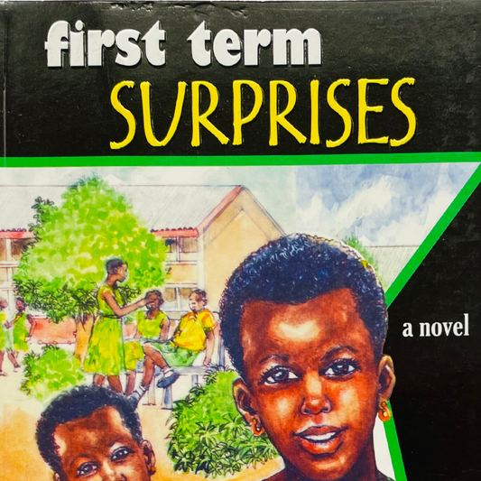 Senior High School Days: First Term Surprises (Book 1)